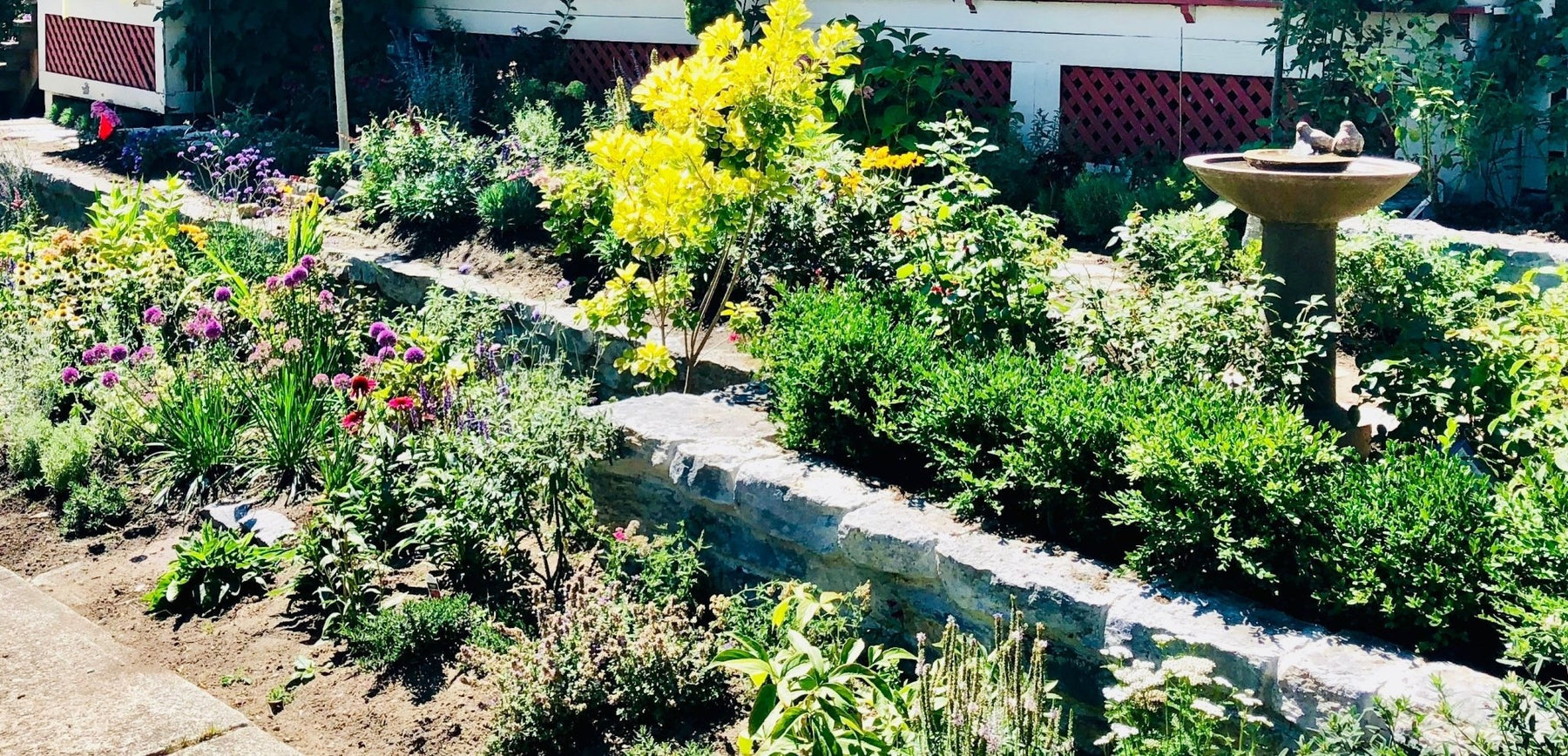 Low Maintenance Garden Border Ideas–Your DIY Dream Garden on a Budget! - Etshera Housewares