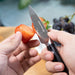 Honjo-Müller Paring Knife - Etshera Housewares