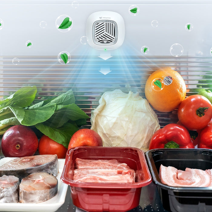 Mhamo Fresh Refrigerator Freshness Extender - Etshera Housewares